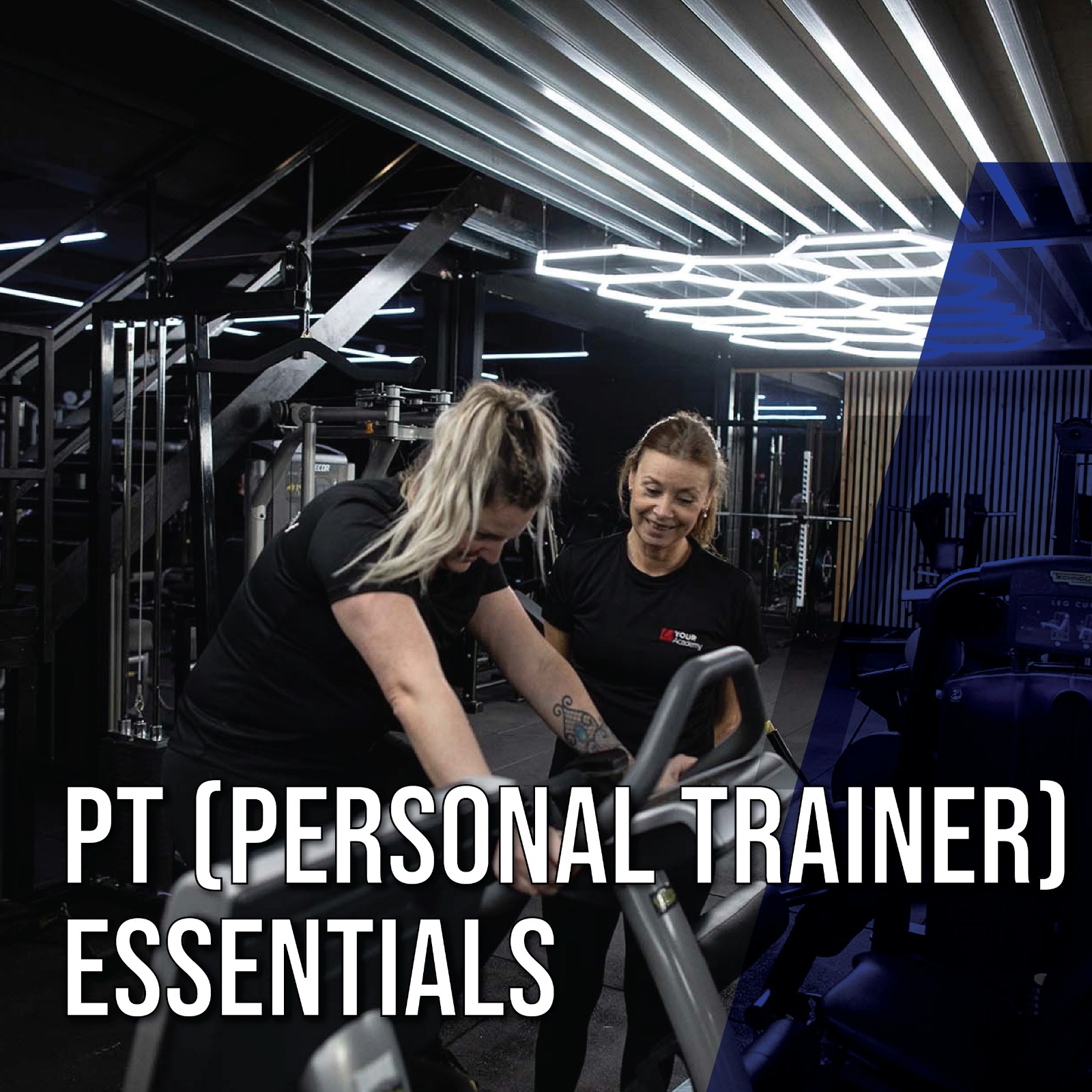PT [Personal Trainer] Essentials